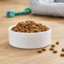 White bowl of dry dog kibble on tabletop with a few pellets scattered