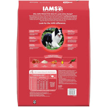 Dry dog food bag, IAMS Proactive Health Minichunks lamb & rice, 15 lb back label