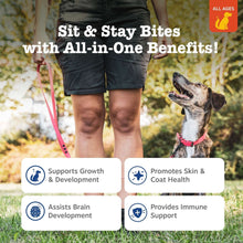 All-in-one training bites benefit card with dog outdoors and icon labels