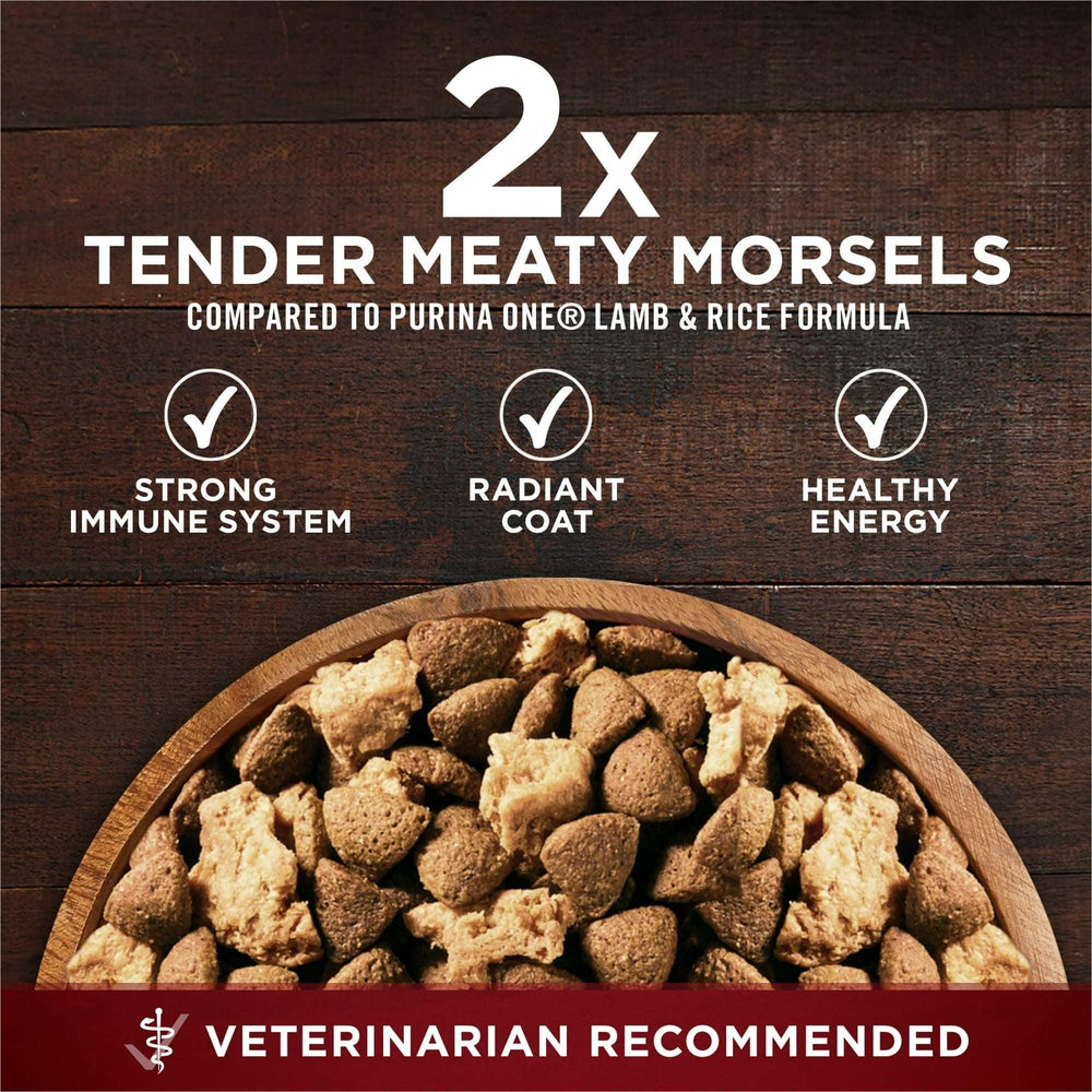 Purina ONE True Instinct Dry Dog Food for Adults, High Protein with Real Beef & Salmon