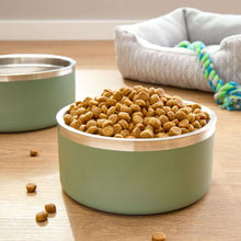 Bowl of dry dog kibble with scattered pieces on a wooden floor