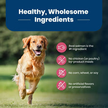 Golden retriever running beside a healthy wholesome ingredients claim panel
