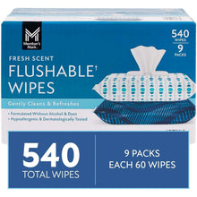 Flushable wipes package with 540 total wipes, 9 packs, blue and white label