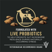 Live probiotics dry dog food graphic with kibble pieces and vet recommended icon