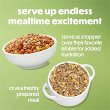 Wet dog food bowls with turkey, sweet potato, rice and spinach blend