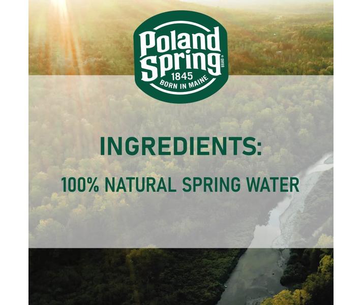 Poland Spring 100% Natural Spring Water Bottles – 20 fl oz, 28-Pack