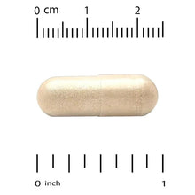 Beige veggie capsule with measurement scale for size