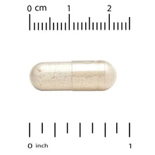 Probiotic veggie capsule with size measurement guide and capsule length markers