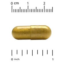 Gold berberine HCI capsule with size scale above and below