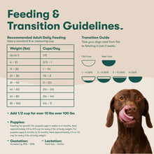 Dog feeding and transition guidelines chart with measuring cup cups-per-day table