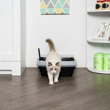 Open-top cat litter box with scoop, light blue rim and black plastic pan