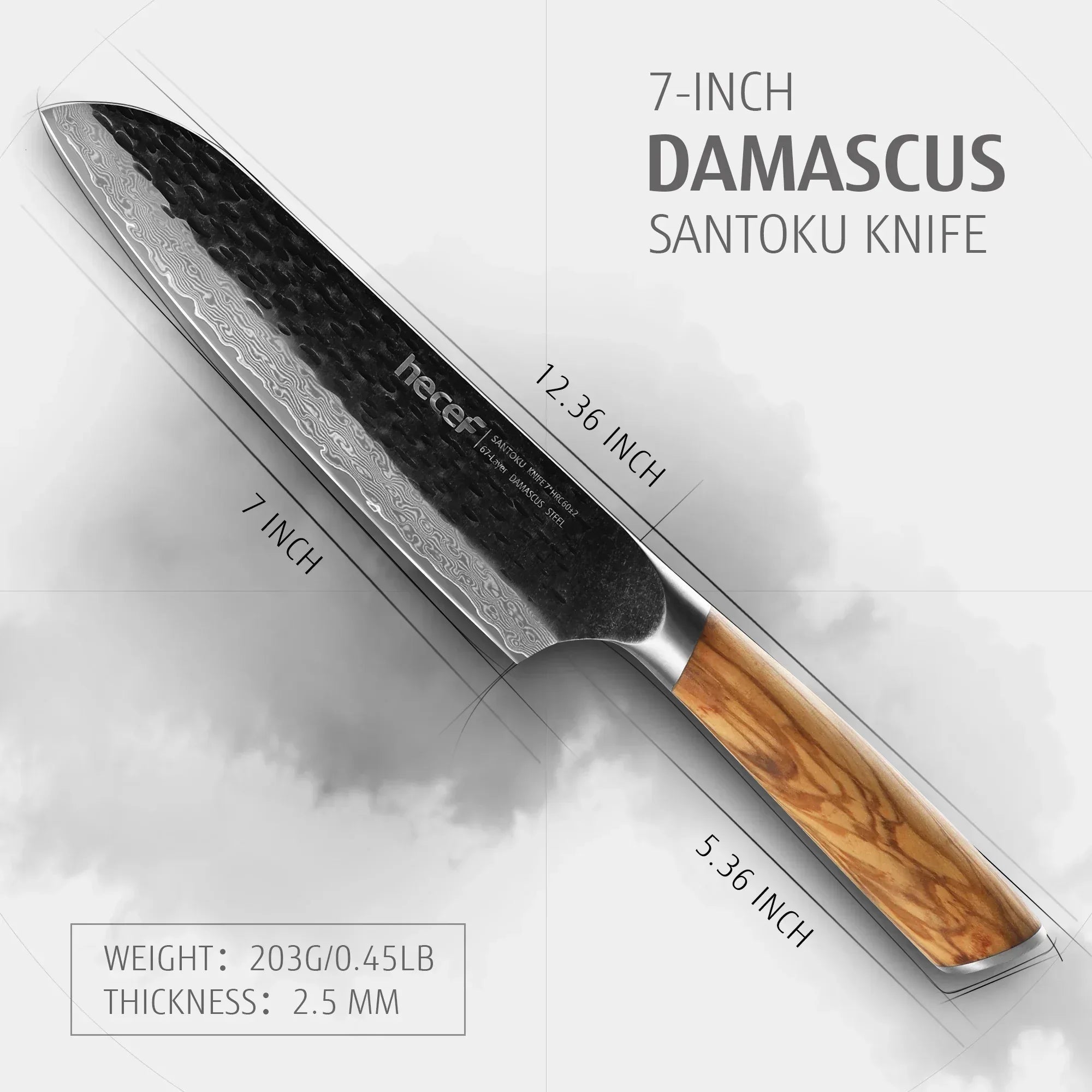 Hecef Japanese Chef Knife, Forged 67-Layer Damascus Steel Ultra Sharp Professional Hammered Carving Knife - USA MEGA SHOP