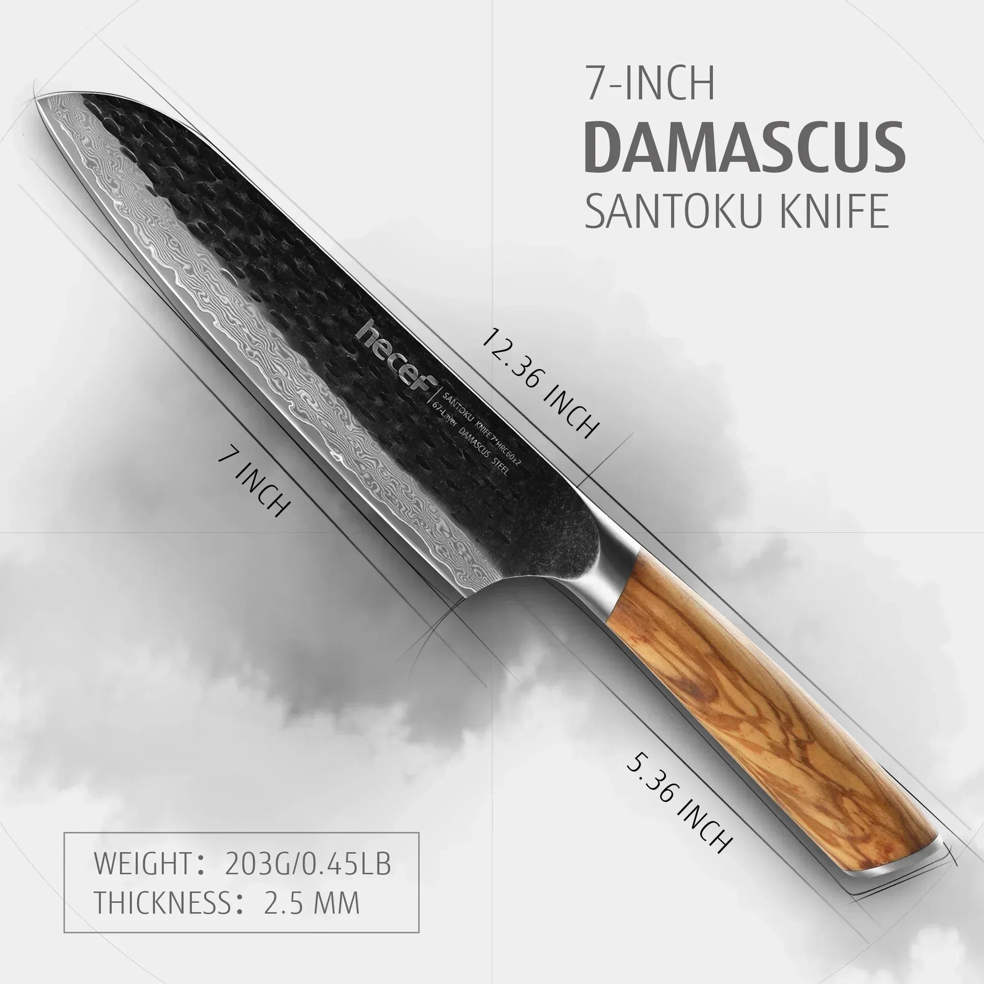 Hecef Japanese Chef Knife, Forged 67-Layer Damascus Steel Ultra Sharp Professional Hammered Carving Knife