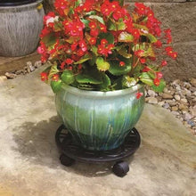 Black round plant caddy with lattice top supporting a planter on patio