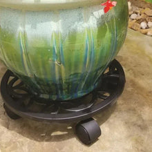 Black round plant caddy with lattice base and caster wheels under a planter