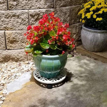 Off-white plant caddy with lattice base and black feet supporting a green pot on stone