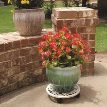 Off-white plant caddy with lattice top and black feet supporting a green pot near brick