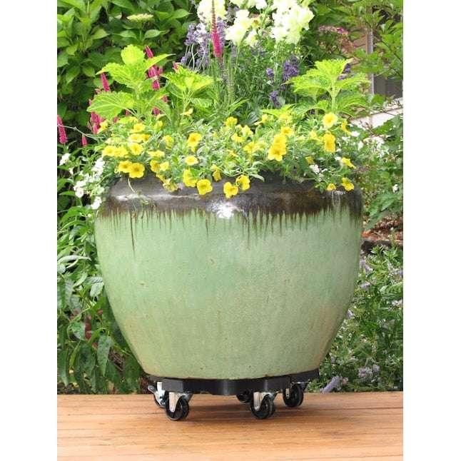 Bosmere 16-in L x 16-in D x 3.5-in H Black Plant Caddy - USA MEGA SHOP