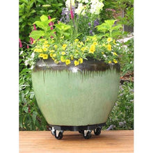 Bosmere black plant caddy with rolling casters holding a planter pot