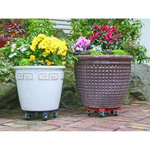 Terra cotta plant caddy with four casters under two potted plants