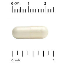 Serrapeptase veggie capsule, pale cream color, shown with measurement scale
