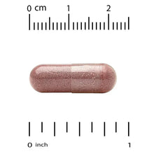 Brownish probiotic veggie capsule shown with size scale markings