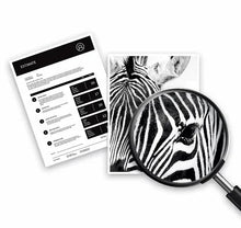 HP 950XL ink cartridge print test page with zebra image and magnifying glass