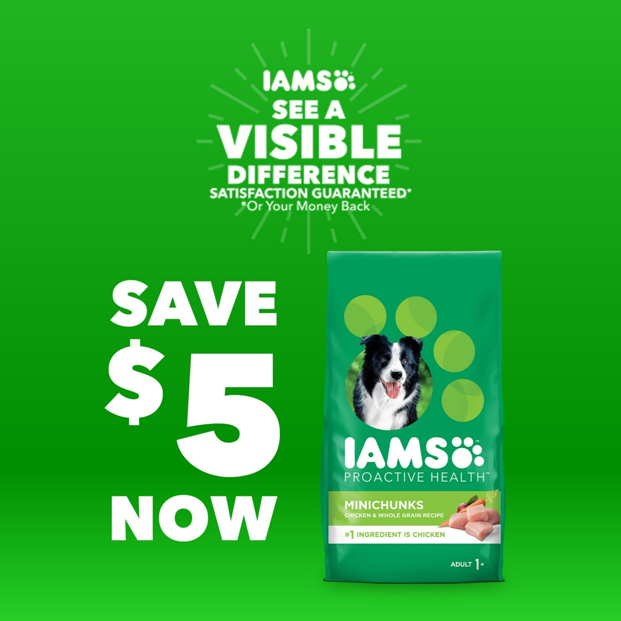 IAMS Proactive Health Adult Minichunks Chicken & Whole Grain Recipe Dry Dog Food