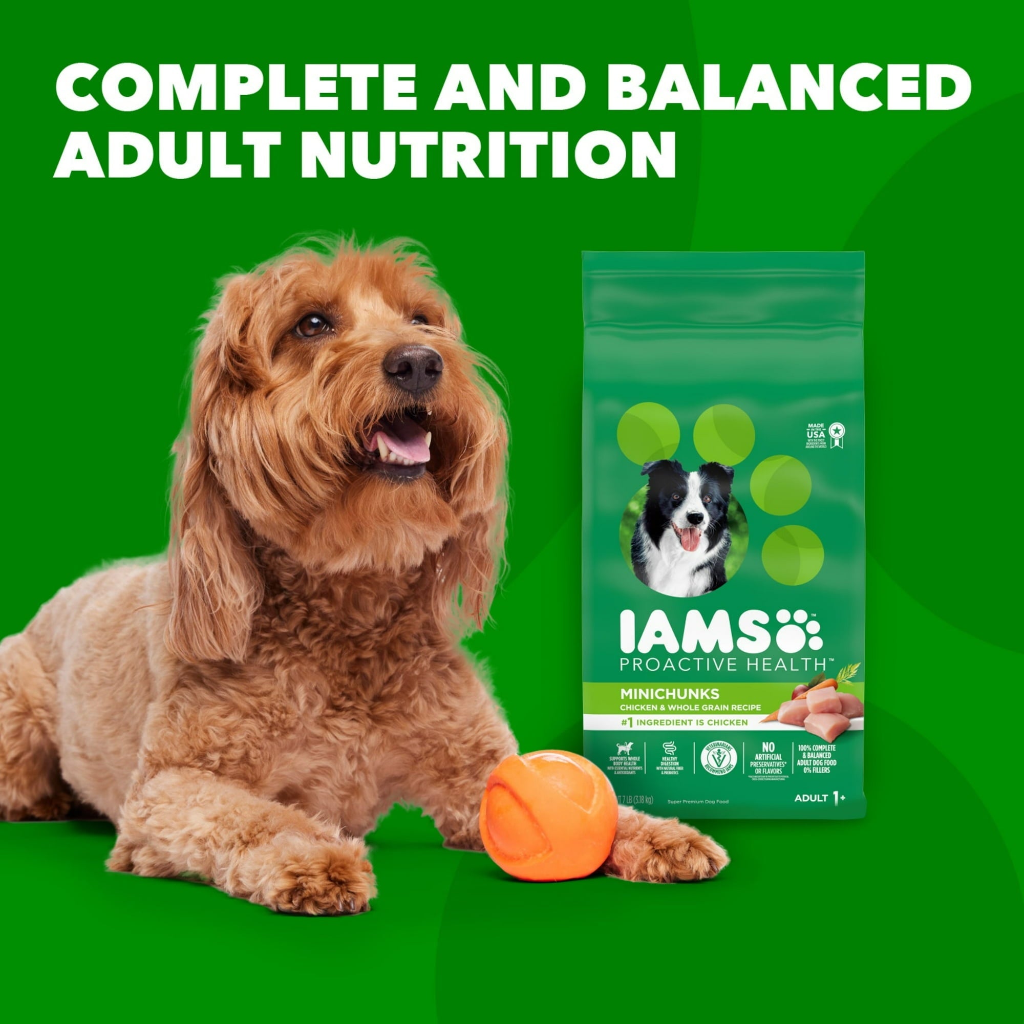 IAMS Proactive Health Adult Minichunks Chicken & Whole Grain Recipe Dry Dog Food