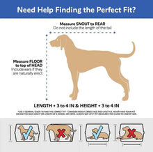Hard-sided pet kennel layout graphic with open front and vented top