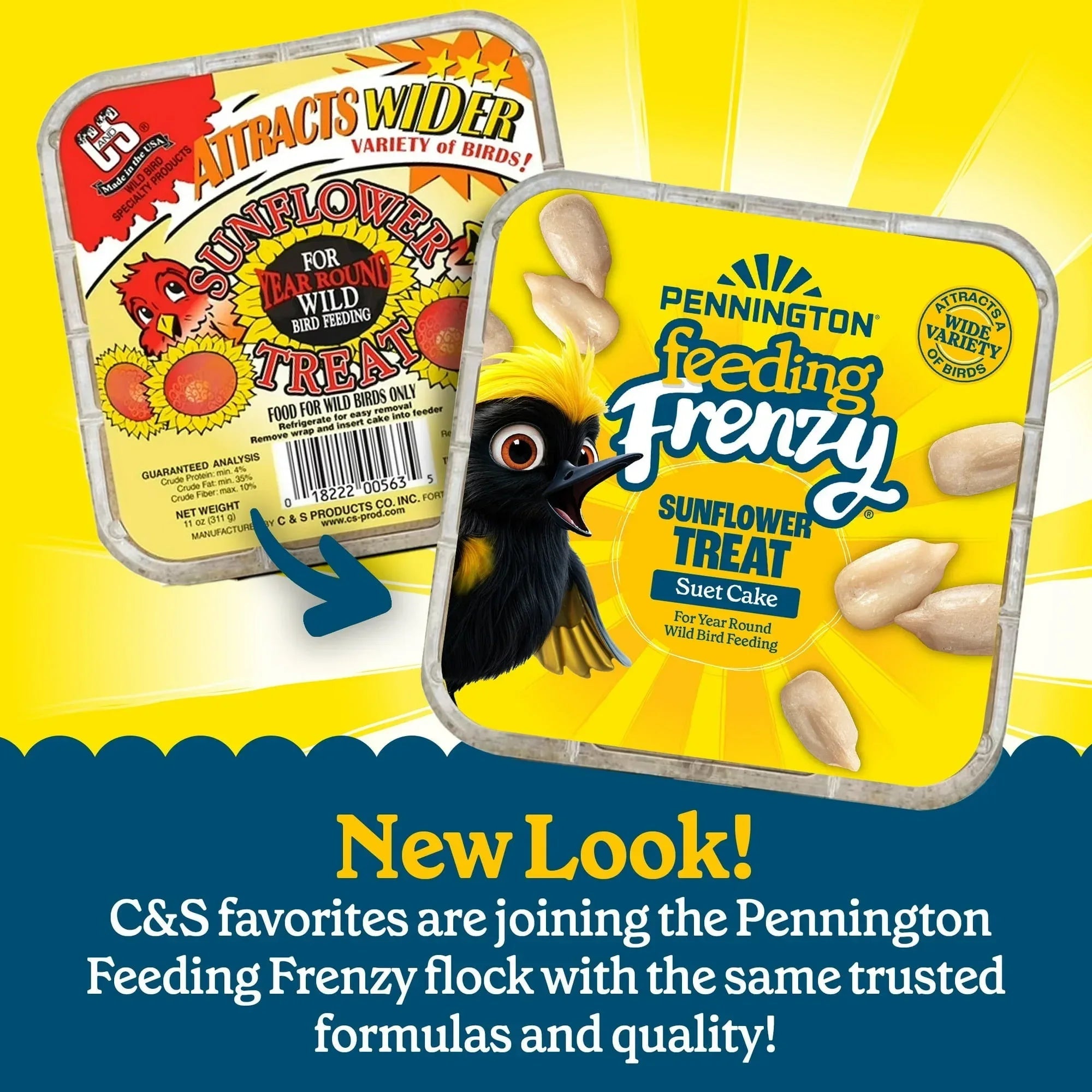(12 pack) Pennington Feeding Frenzy Sunflower Suet Treat Cake 11 oz, Wild Bird Food, Suet Cakes for Wild Birds, 1 Pack, Fresh