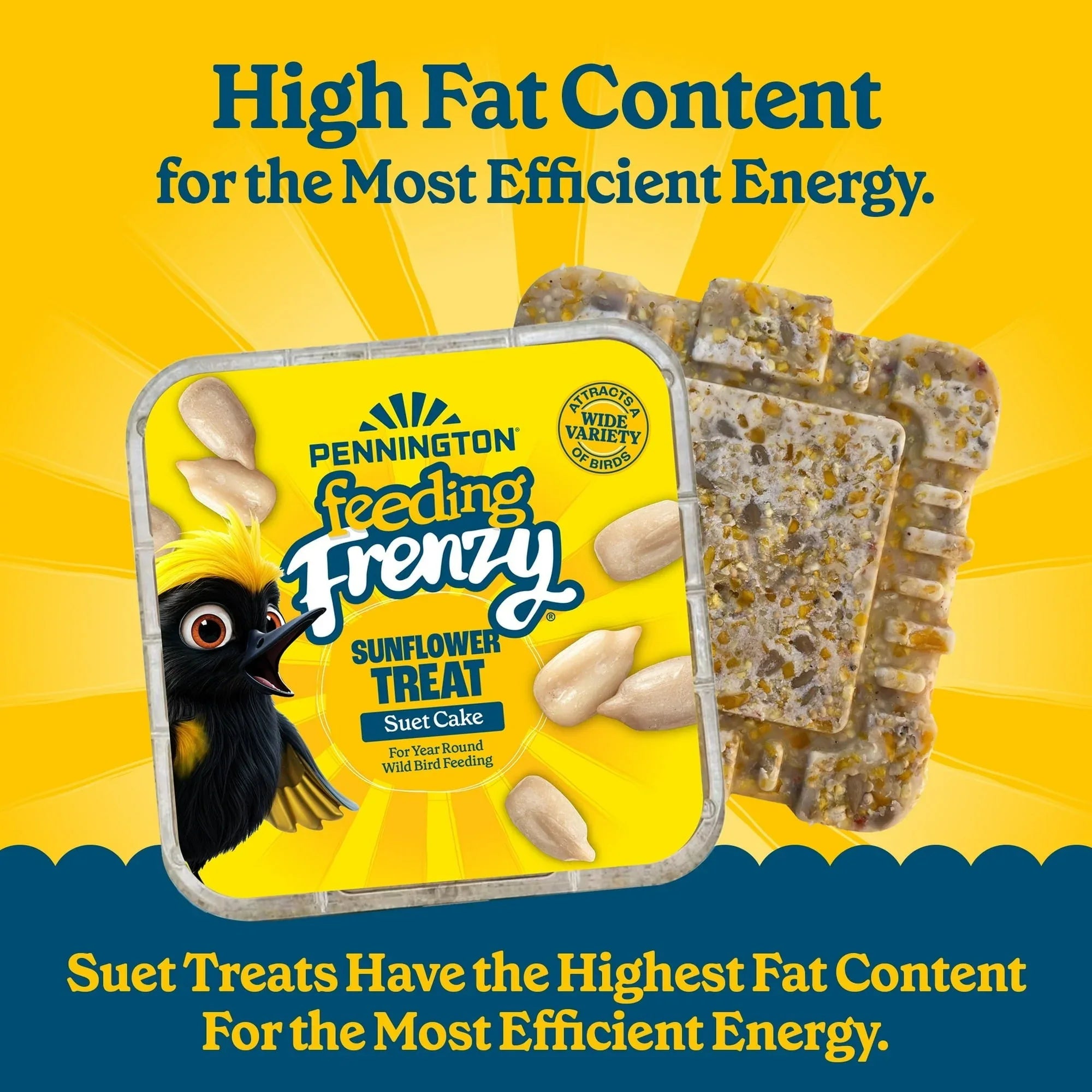 (12 pack) Pennington Feeding Frenzy Sunflower Suet Treat Cake 11 oz, Wild Bird Food, Suet Cakes for Wild Birds, 1 Pack, Fresh - USA MEGA SHOP