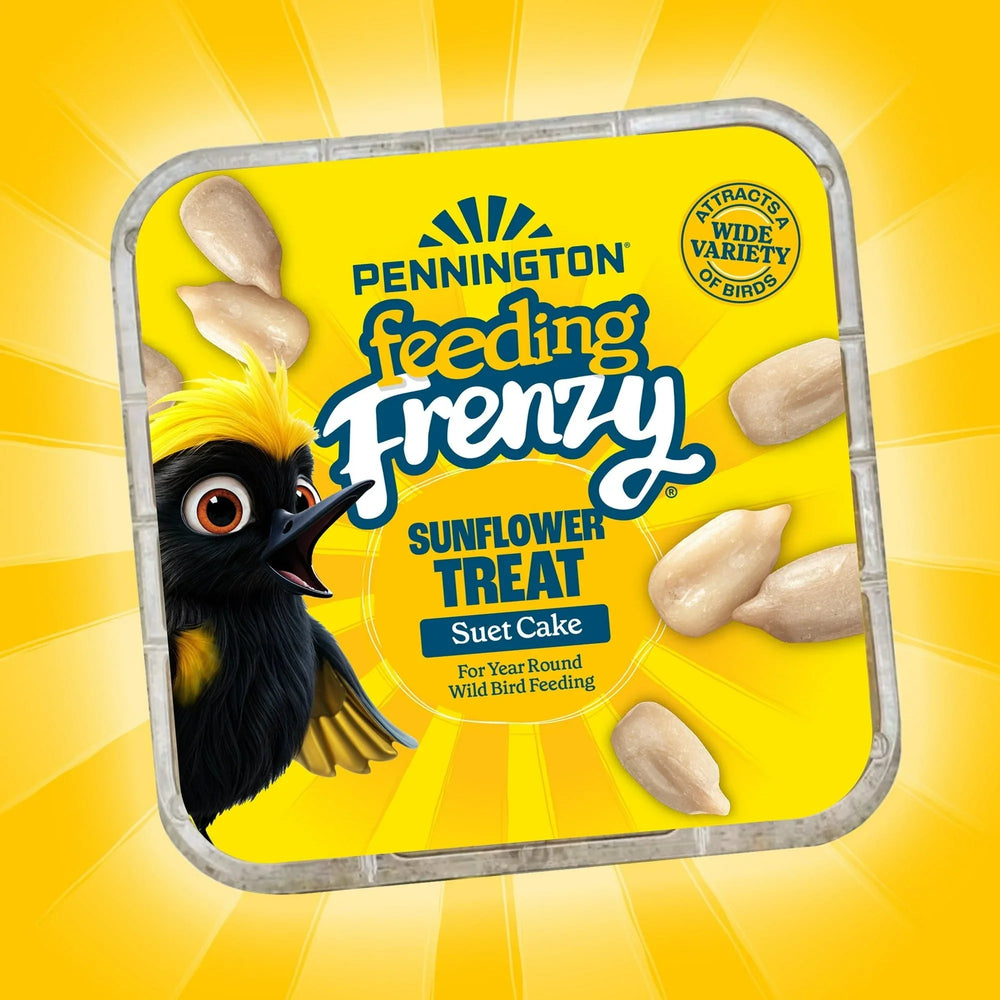 (12 pack) Pennington Feeding Frenzy Sunflower Suet Treat Cake 11 oz, Wild Bird Food, Suet Cakes for Wild Birds, 1 Pack, Fresh - USA MEGA SHOP
