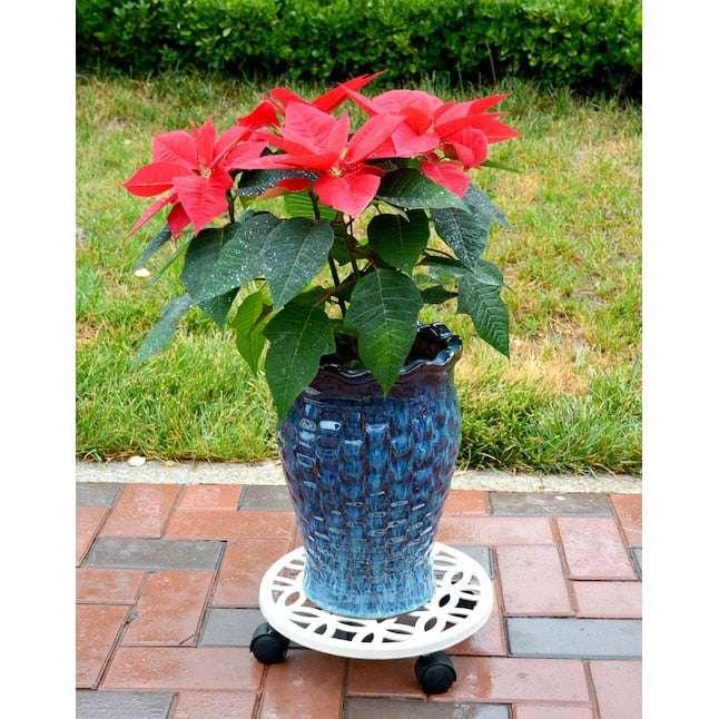 allen + roth 12-in L x 12-in D x 2.7-in H Off-white Plant Caddy - USA MEGA SHOP