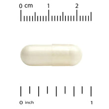 White veggie capsule with measurement ruler for size reference