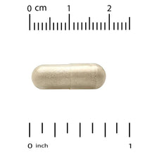 Light beige veggie capsule shown with measurement scale