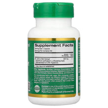 St. John's Wort extract bottle back label with Supplement Facts and ingredient list