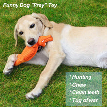 Orange crocodile squeaky chew toy with textured ridges in a dog’s mouth.