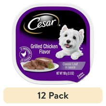 Wet dog food tray with grilled chicken loaf in sauce, Cesar brand.