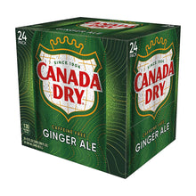Caffeine-free ginger ale 24-pack carton with two side can panels, 12 fl oz
