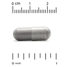 Gray veggie capsules, split view with size ruler markings