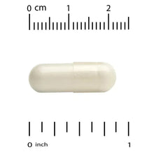 White veggie capsule with size measurement scale