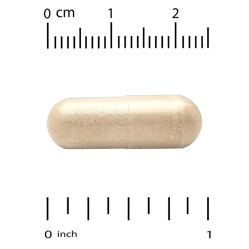 California Gold Nutrition, EuroHerbs™, Olive Leaf Extract, Euromed Quality, 500 mg, 60 Veggie Capsules
