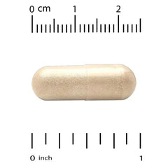 California Gold Nutrition, EuroHerbs™, Olive Leaf Extract, Euromed Quality, 500 mg, 60 Veggie Capsules