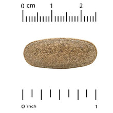 Tribulus supplement capsule, speckled tan, shown with size measurement scale