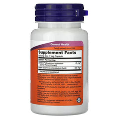 NOW Foods, Calm & Focus With Zembrin & GABA, 60 Veg Capsules
