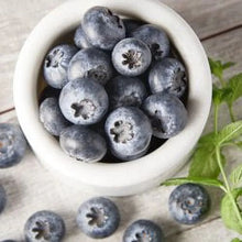 Fresh blueberries in a white bowl