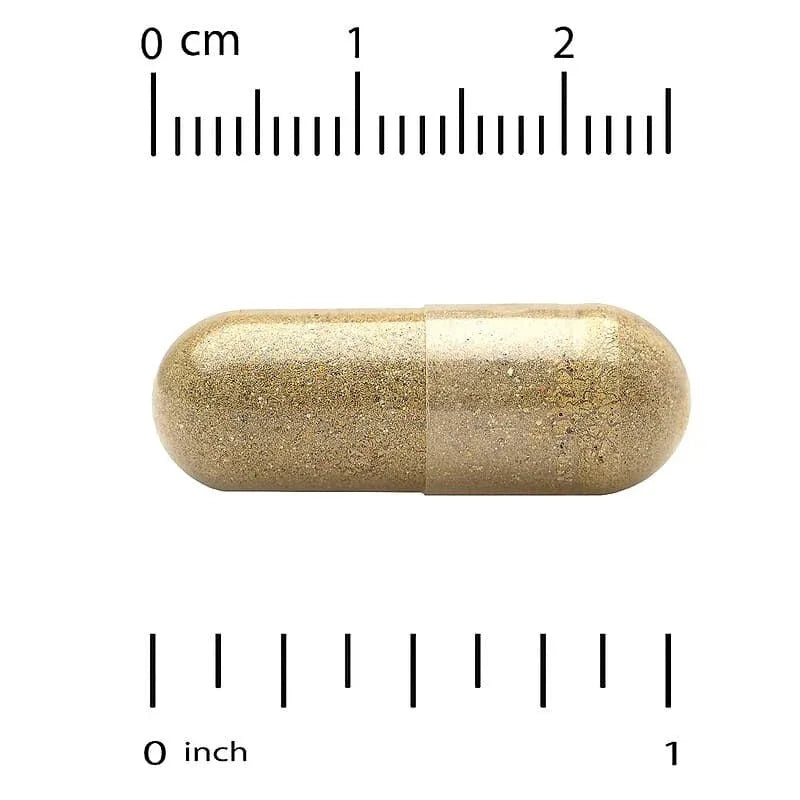California Gold Nutrition, EuroHerbsâ„¢, Lemon Balm Extract, Euromed Quality, 500 mg - USA MEGA SHOP