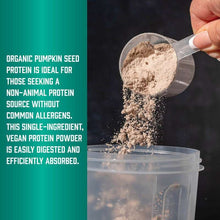 Organic pumpkin seed protein powder in scoop with text panel about plant-based protein