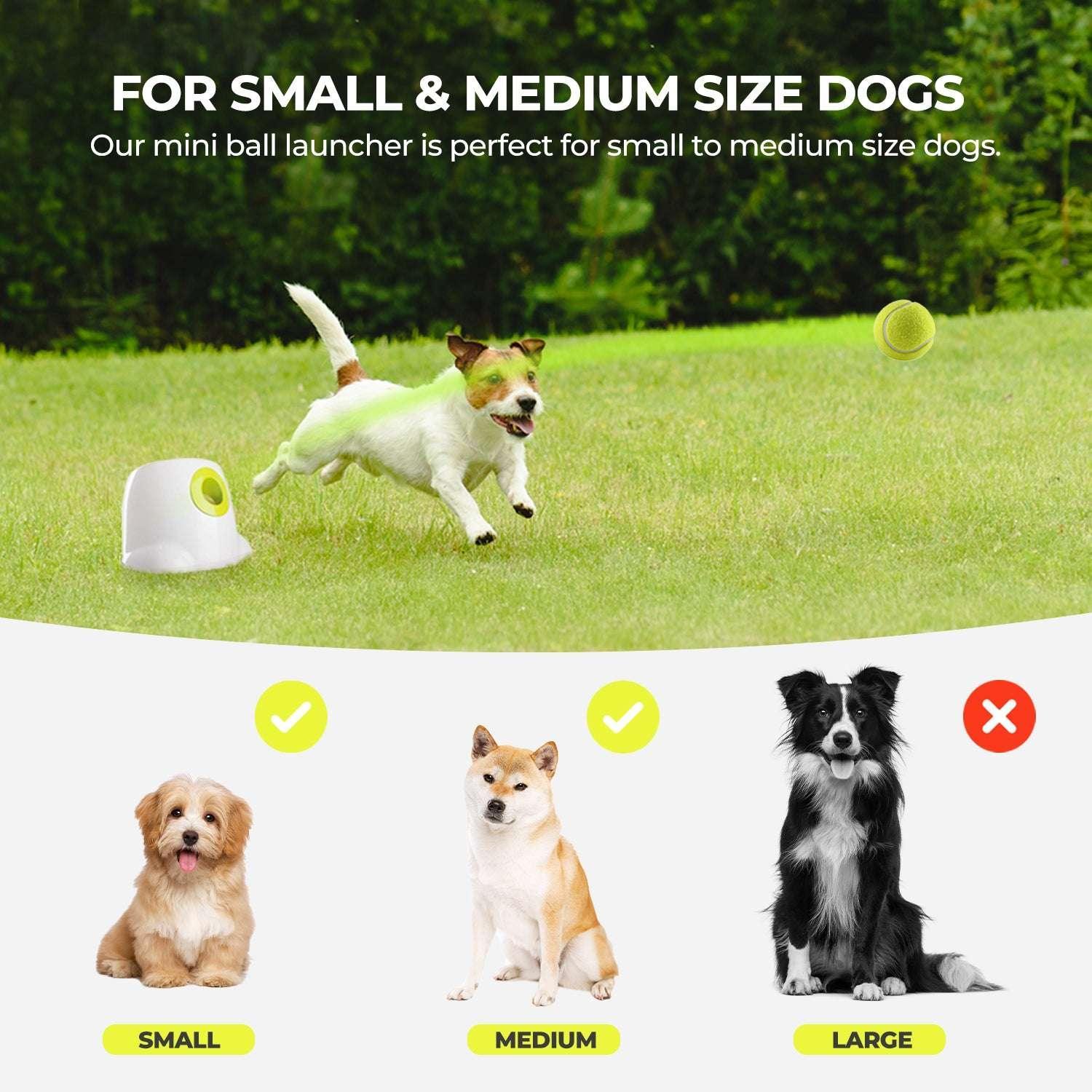 All For Paws Automatic Tennis Ball Launcher for Small to Medium Sized Dogs, 3 Balls Included, Mini